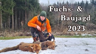Fuchsjagd - Baujagd 2023 | So spannend wars noch nie! | T-Hunting
