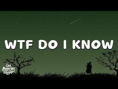 Miley Cyrus - WTF Do I Know (Lyrics)