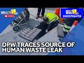 DPW traces source of human waste leak