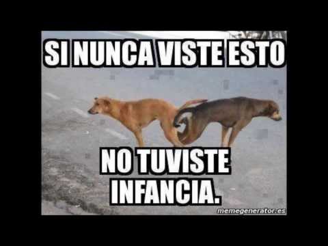 OIESAMAMADA 2013 2014 2015 2050