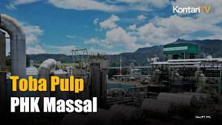 Izin Dicabut, Toba Pulp (INRU) Akan Lakukan PHK Massal Mulai Mei 2026