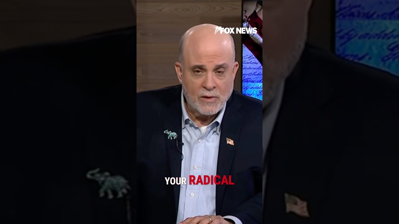 'STAY IN YOUR LANE': Levin rips federal judges for birthright dissent #shorts #foxnews #news #us