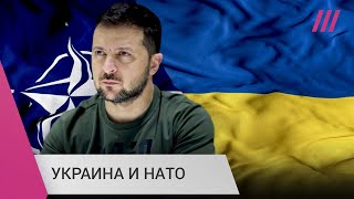 Личное: Украина и гарантии безопасности. Что страны НАТО могут предложить Зеленскому