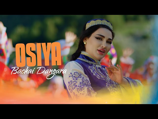 Osiya -Bachai Dangara | Осия - Бачаи Данғара
