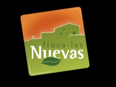 Vídeo hecho por el alojamiento