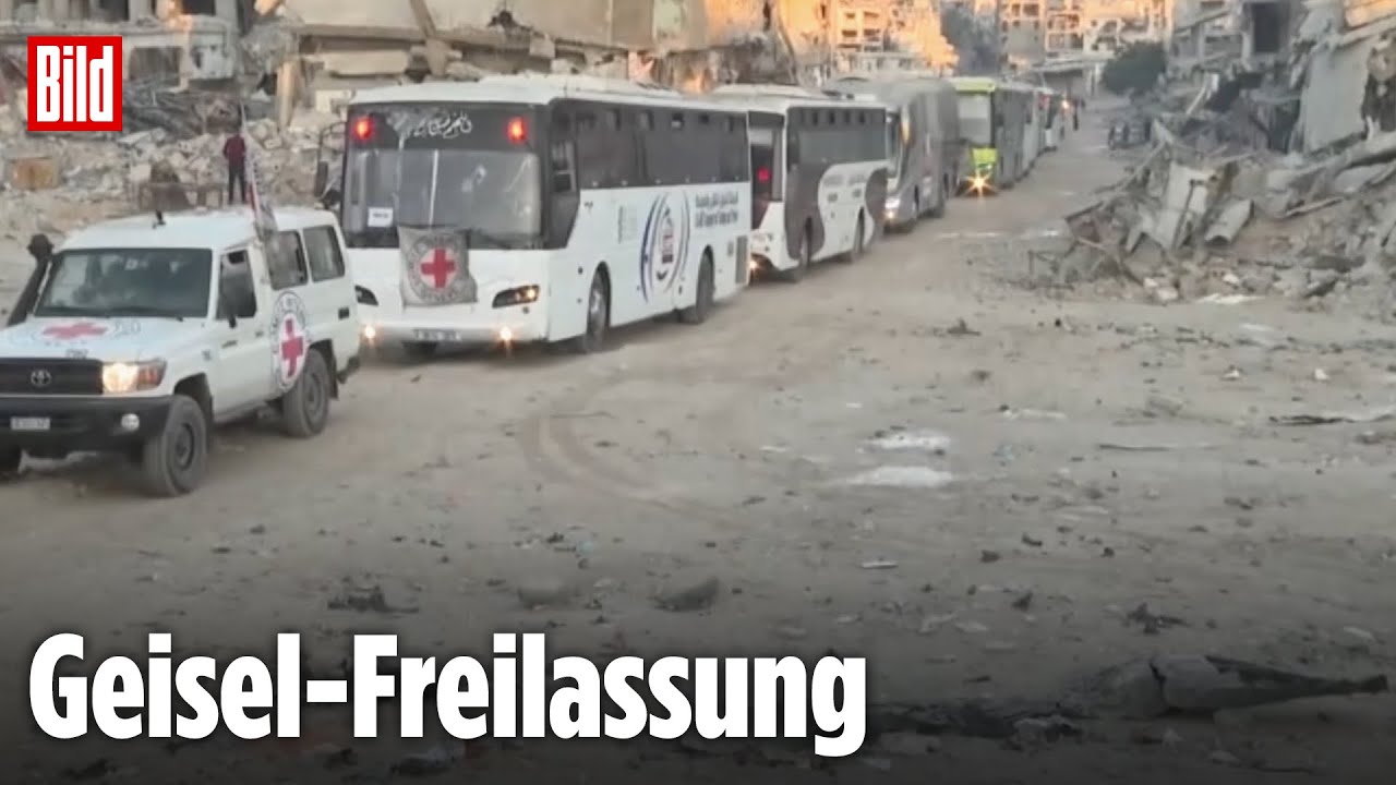 Auf diese Busse wartet ganz Israel