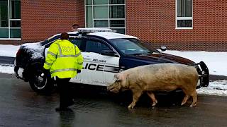 Najtrápnejšie zimné faily