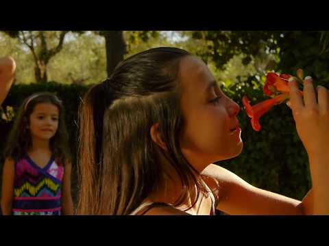 Video struttura