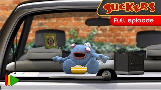 Prsavky 67 - straten pes