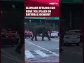 Elephant Attacks Car Near Toll Plaza On Dehradun-Haridwar Highway  - 01:20 min - News - Video
