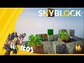 Video Skyblock - Wotan