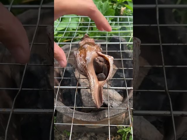 Is this a crab、Or shrimp、Or snail|Chinese Mountain Forest Life And Food #MoTiktok #Fyp