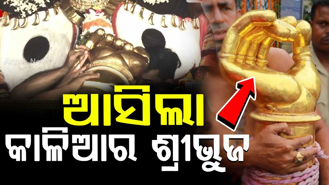 ଆସିଲା କାଳିଆର ଶ୍ରୀଭୁଜ | Suna Besha 2026 | Suna Besa | Rath Yatra 2026 | Rath Jatra | Argus News