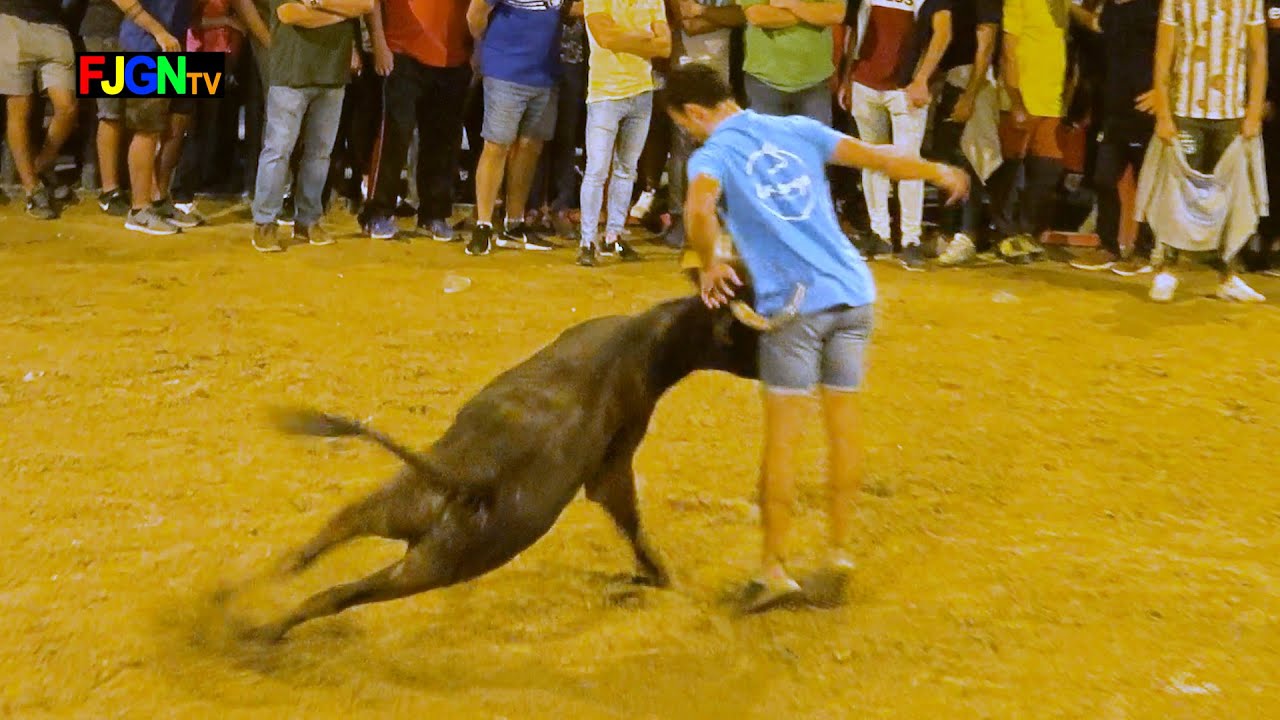 Vacas Enfundadas Alberto Garrido 12-10-2019 Almassora (Castellon) Bous Al Carrer Vacas Enfundadas Alberto Garrido 12-10-2019 Almassora (Castellon) Bous Al Carrer