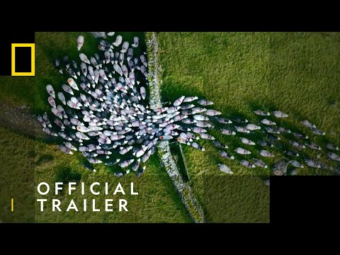 Europe From Above'