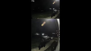Doorbell camera captures black bear sighting in Greater Cincinnati area