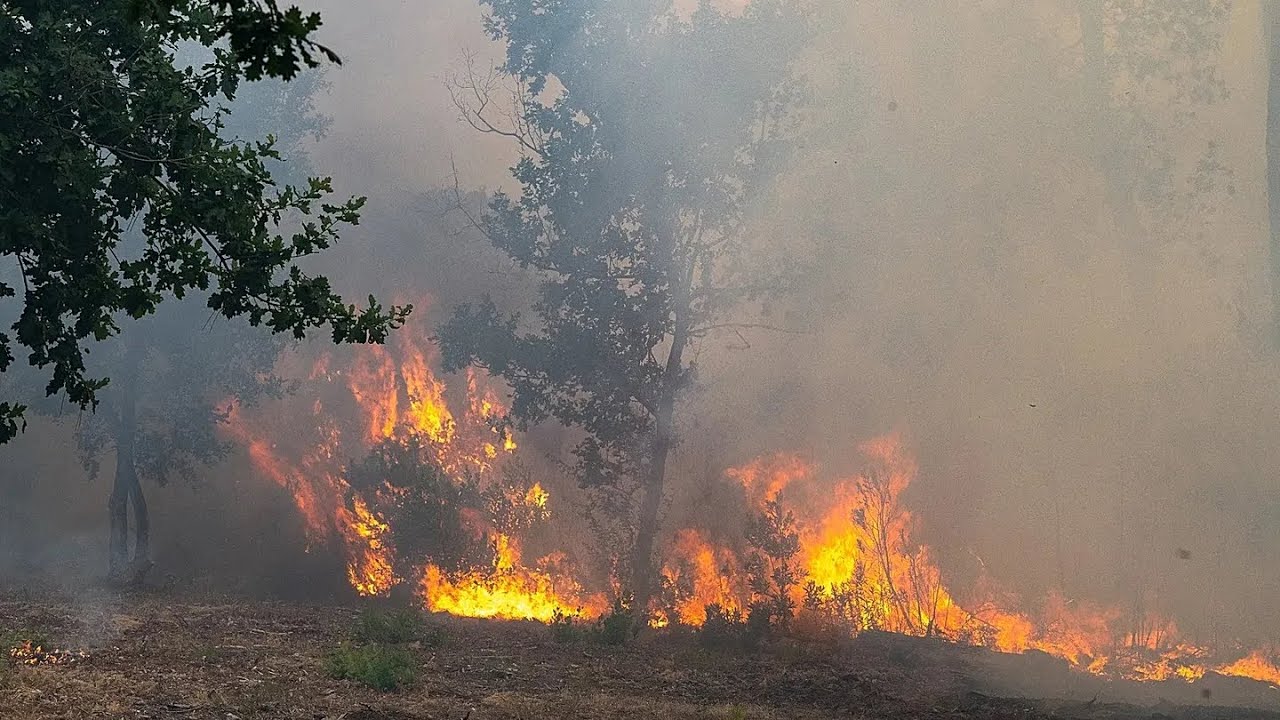 Incendies : sept communes évacuées par mesure préventive aux portes de Bordeaux