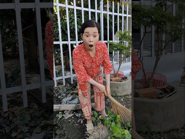 #clowntieumuoi So Funny 😂🤣 She was sweeping the yard when she saw a very funny scene #funny