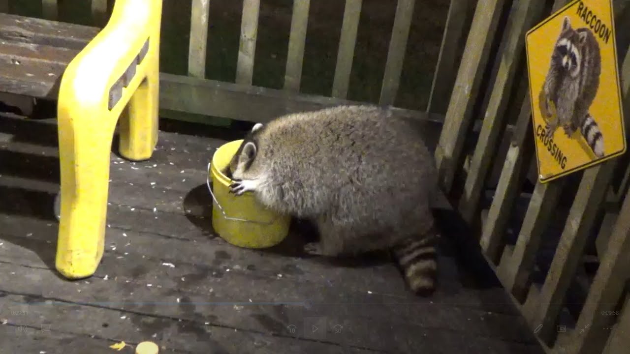 Diner slow again tonight because of rain