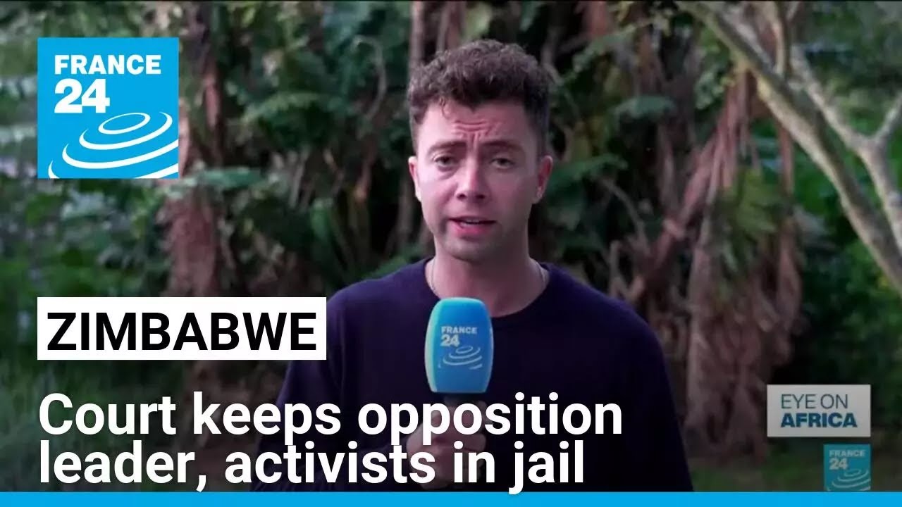 Zimbabwe court keeps opposition leader, activists in jail • FRANCE 24 English