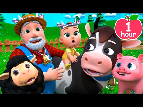 🚜🐑🐖🐓Old MacDonald Had a Farm | Newborn Baby Songs & Nursery Rhymes