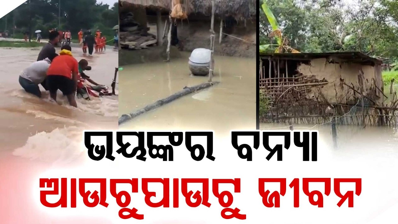 Severe Flood Hits North And Coastal Odisha | NDRF Rescue Operation | Argus News