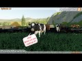 Cows Barn Old v1.0.0.1