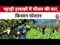Global Warming: पहाड़ी इलाकों में कम बर्फबारी होने से मुसीबत में किसान? | Apple Farmers | Kashmir