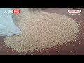 Odisha में किसान ने उगाई चावल की नई किस्म, डायबिटीज के मरीज भी खा सकेंगे | ABP News  - 03:08 min - News - Video