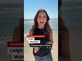 Great White Shark activity increasing in the Northeast(CNN) - 00:56 min - News - Video