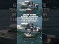 Great White Shark activity increasing in the Northeast
