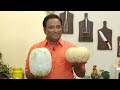 All about Lemon cucumber Dal,  mutton curry dosakai Farming with vahchef - home vegetable Gardening  - 09:09 min - News - Video