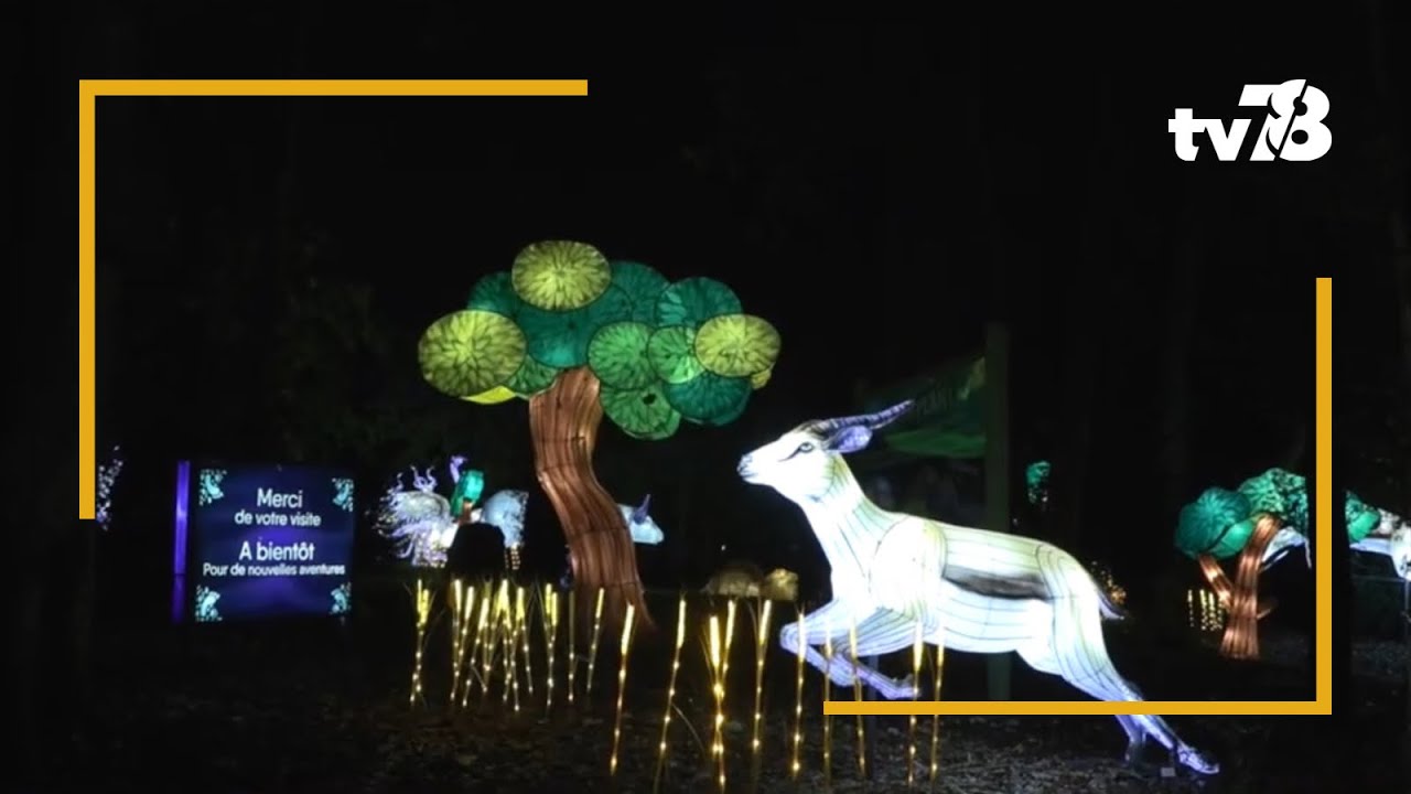 Le ZooSafari illumine les fins de journée avec le retour de Thoiry Lumières sauvages