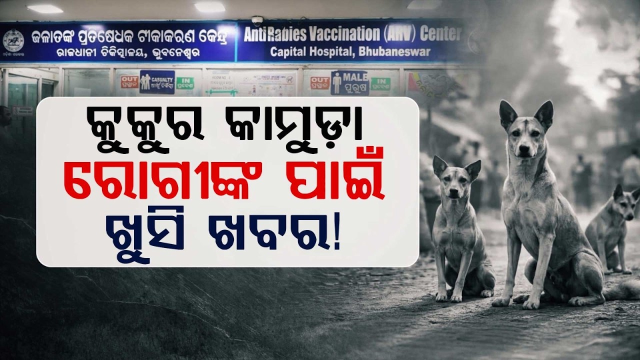 No More Hassle For Dog Bite Patients: Anti-Rabies Clinic Soon At Capital Hospital | Argus News