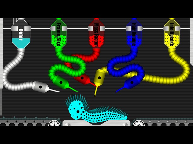 The Baby Factory