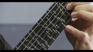 Microtonal Guitar (Fixed Fret) byTolgahan Cogulu
