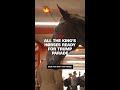 All the kings horses ready for Trump parade