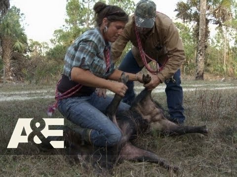 Best of Sexy big girl slaughter pig Elitist jerks pornstar