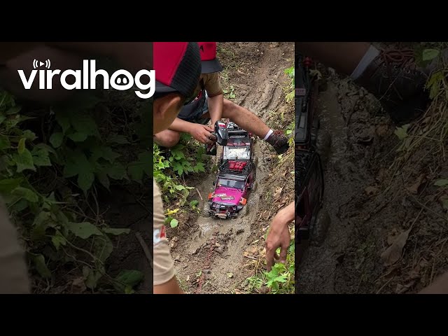 RC Cars Get Stuck in the Mud || ViralHog