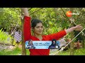 Aarogyame Mahayogam | Ep - 1210 | May 28, 2024 | Best Scene | Zee Telugu  - 03:58 min - News - Video
