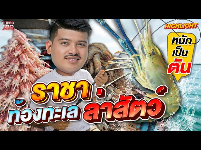 อูนิราคาหลักสิบ วิถีประมงพื้นบ้าน จับสัตว์มือเปล่า ทำอาหารริมทะเล  HIGHLIGHT | SUPER100