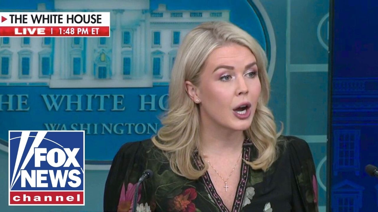 Leavitt RIPS Dems: 'RECKLESS AND DANGEROUS!'