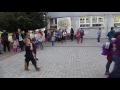 Miniatura video