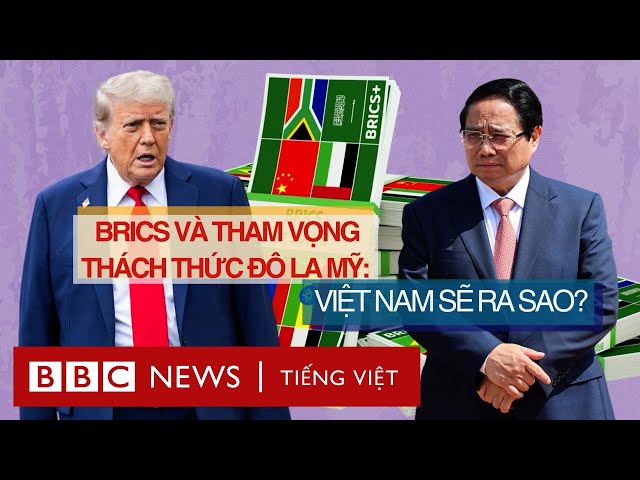 BRICS VÀ THAM VỌNG THÁCH THỨC ĐÔ LA MỸ: VIỆT NAM SẼ RA SAO?