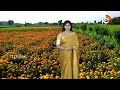 బంతి సాగులో మేలైన యాజమాన్య పద్ధతులు | Techniques in Marigold Flower Farming | Matti Manishi | 10TV  - 08:48 min - News - Video