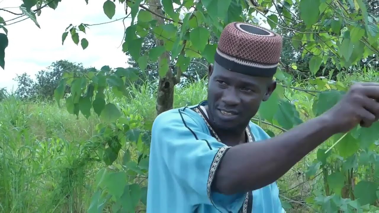 BÖBÖ LAA KE KO 04 NOUVEAU FILM GUINEEN