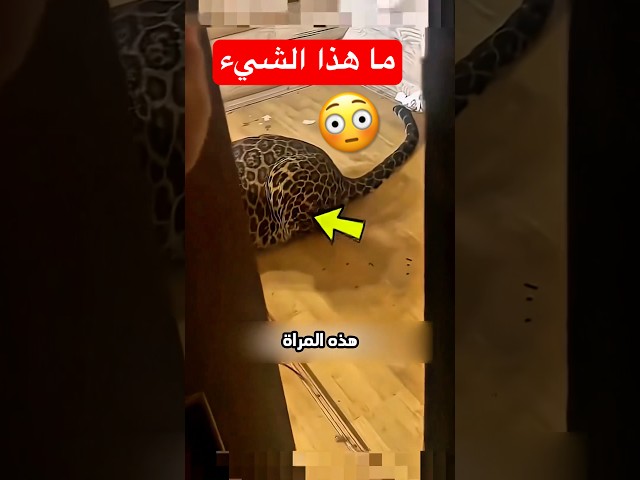 تريد تلعب معهم بطريقة رائعة ومميزة 😳 #shorts #shortvideo #shortsviral