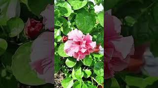 VẬY LÀ HẾT TẾT RỒI BẠN ƠI 😔#tetsumvay2025