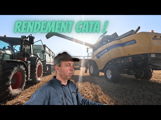 Premier rendement en blé 🌾
