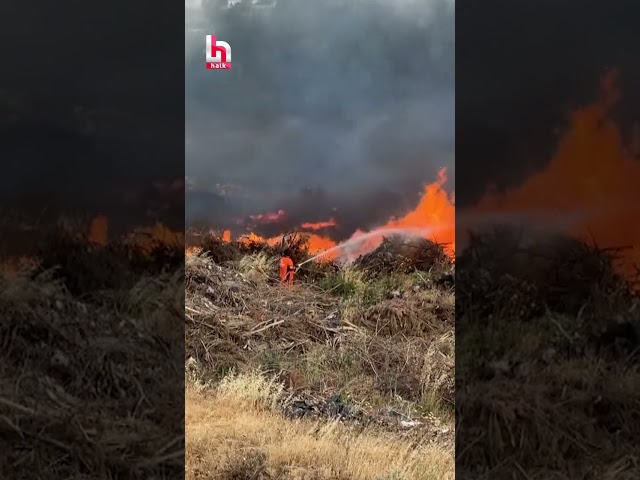 Çanakkale'de otluk alanda çıkan orman yangını 1,5 saatte kontrol altına alındı...